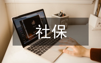 社保審計論文