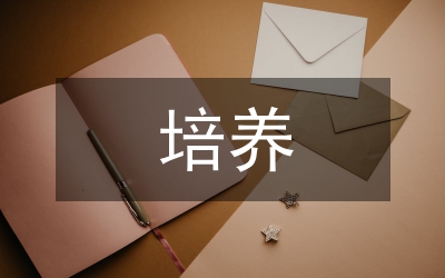 培養(yǎng)正確的價值觀