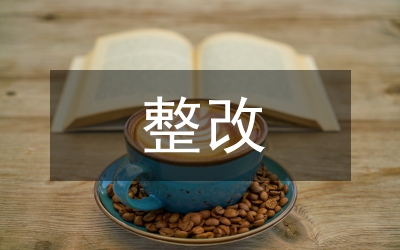 整改落實(shí)情況報(bào)告