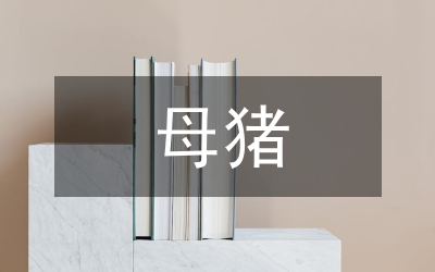 母豬保險(xiǎn)工作實(shí)施方案