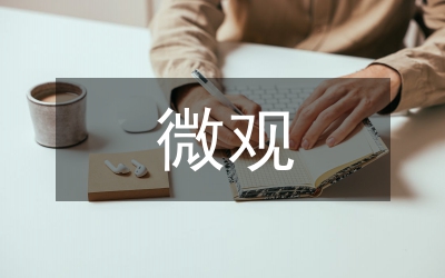 市場調(diào)節(jié)微觀性