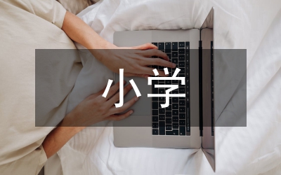 小學(xué)網(wǎng)絡(luò)安全預(yù)案