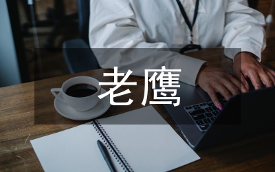 老鷹抓小雞的作文