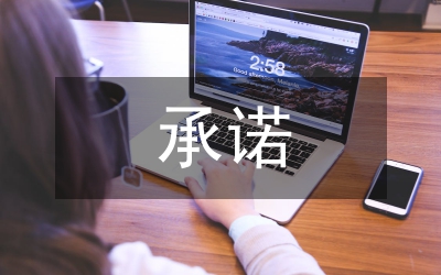 依法行政承諾整改工作總結(jié)