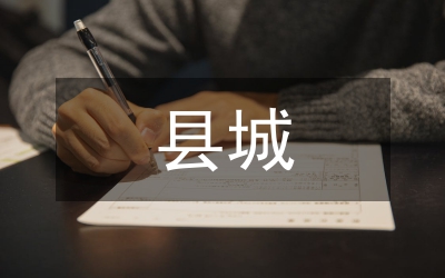 縣城三輪車管理方案