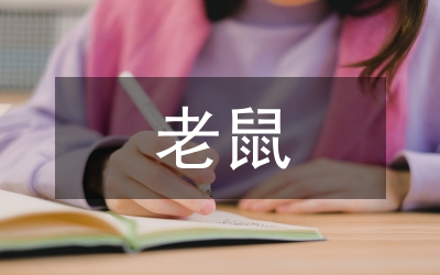 老鼠嫁女兒故事