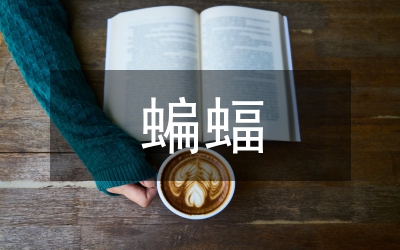 蝙蝠和雷達(dá)教學(xué)設(shè)計