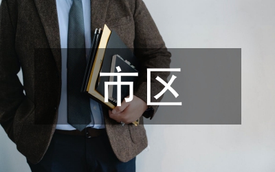 市區(qū)建設局副局年度述職