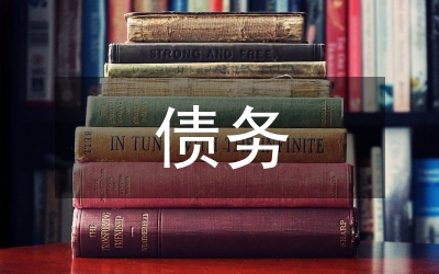 防范化解債務(wù)風(fēng)險情況匯報