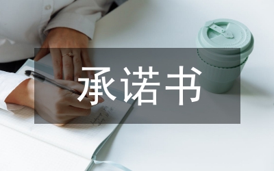 效能建設(shè)個(gè)人承諾書29
