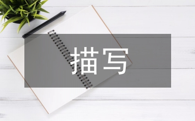 描寫冬天的散文