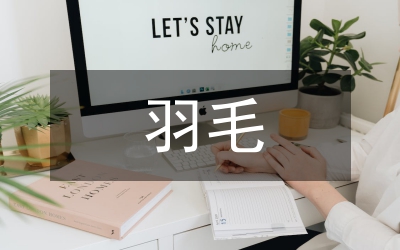 一根羽毛