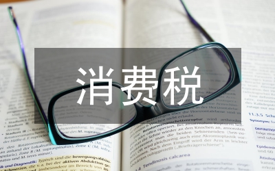 消費稅實訓(xùn)總結(jié)