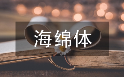 海綿體