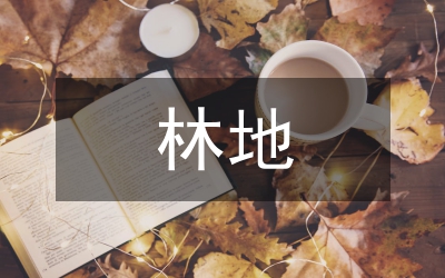 造林地植樹整地措施探析論文