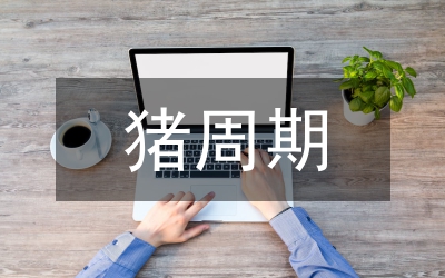 試論當(dāng)代中國的政治危機(jī)周期