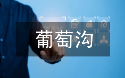 吐魯番的葡萄
