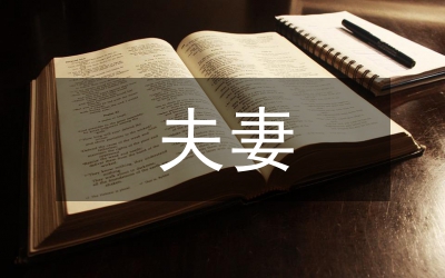 民法典對夫妻財(cái)產(chǎn)制度的影響