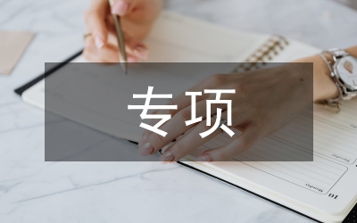 專(zhuān)項(xiàng)活動(dòng)總結(jié)