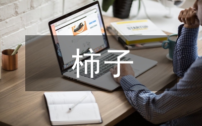 柿子營銷活動(dòng)方案