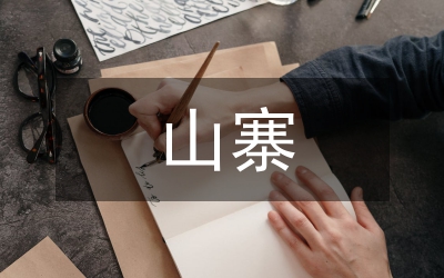 “山寨文化”視野下平面設(shè)計研究