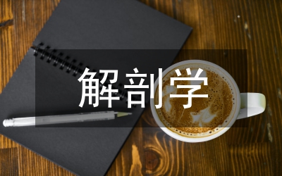 人體解剖學(xué)綜述