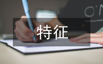 二十一世紀(jì)城市規(guī)劃的全球性特征論文