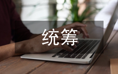 社?；鸾y(tǒng)籌審計(jì)工作科學(xué)發(fā)展觀調(diào)查報(bào)告