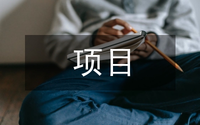 it項(xiàng)目匯報(bào)