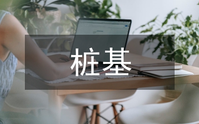 樁基檢測(cè)管理
