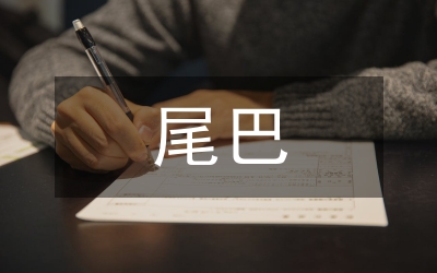 尾巴教案
