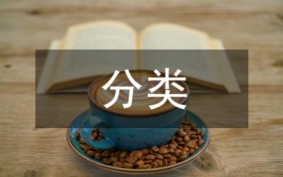 經(jīng)濟責任審計分類
