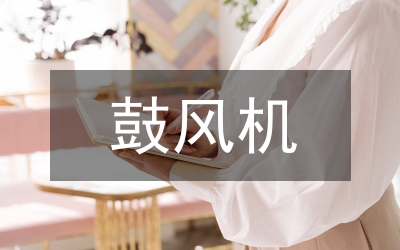 風(fēng)機(jī)盤