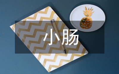 小腸破裂
