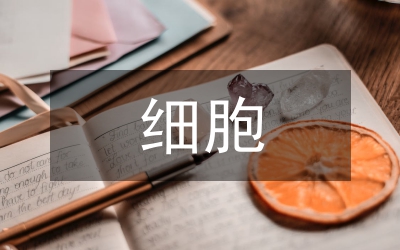 肝星狀細(xì)胞活化功能論文