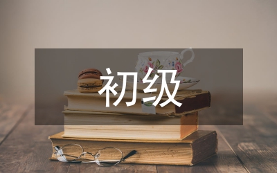 初級(jí)計(jì)算機(jī)論文
