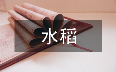 水稻全程機械化生產(chǎn)論文